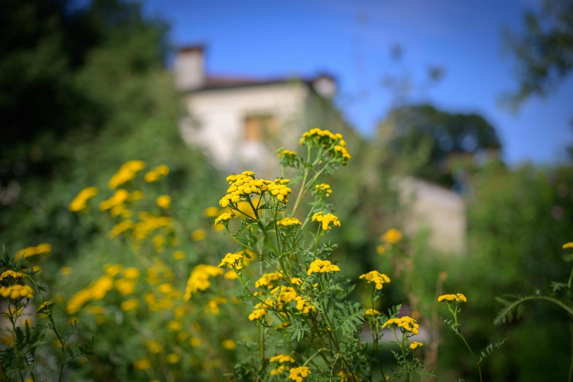 Palazzetto Ardi Bed & Breakfast Torri di Confine Exterior photo